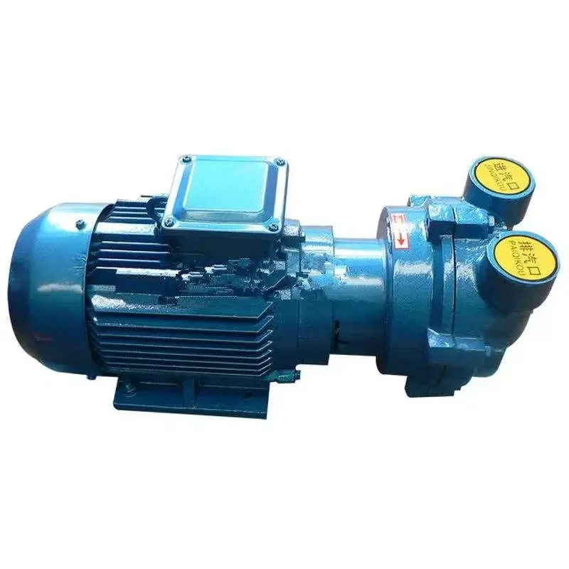 Customizable High-pressure Horizontal Air Vacuum Pumps Industrial Single-stage Two-stage Models 2BV SK Series Chemical