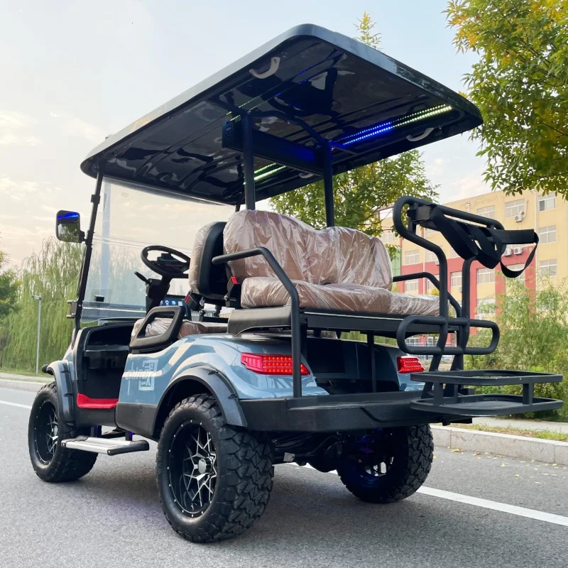 Wholesale Street Legal Dirt Vehicle Hunting Electric Golf Cart China Manufacturer Free Custom Color 12 Inch Tires Golf Bag Rack