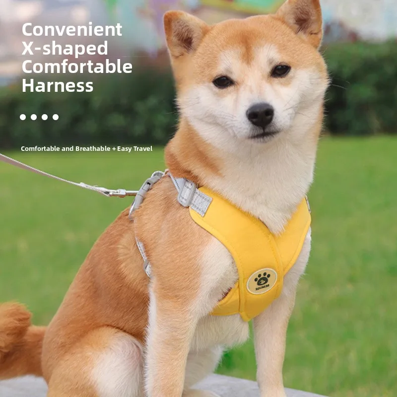 Dog Lea X-Aped Ches…