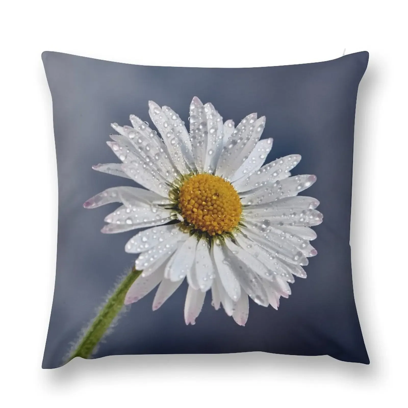 Daisy Macro Throw Pillow christmas decorations for home 2025 Cushion Cover For Sofa christmas pillow case Pillow Cover