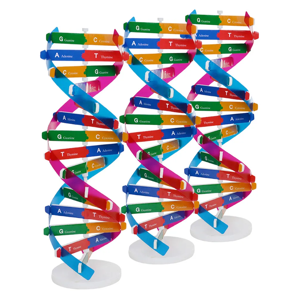 3 pcs Dna Kit Diy Gene Structure Biology Educational Tool Double Helix Molecular Building Set - Dna Kit Double Helix