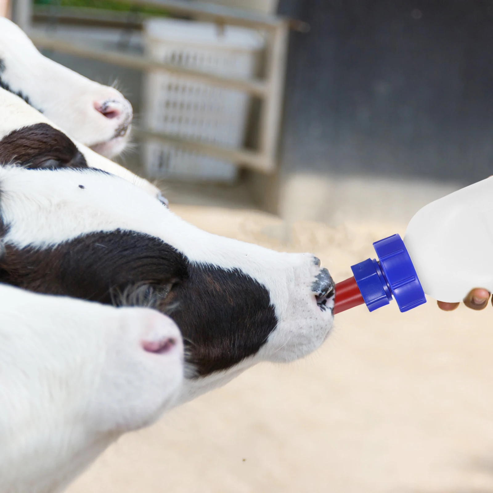 

Veterinary Milk Pot Animal Bottle Feeder for Kitten Feeding Animals Puppy Pet Goat Nipple Nursing Cows