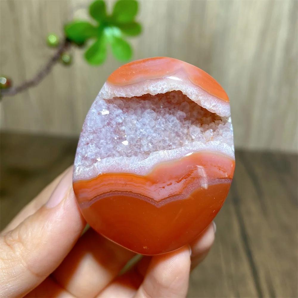 Natural Carnelian Agate Druzy Geode Palm Gemstone Festival Ornament Red Agate Mineral Cavern Design Home Decoration Crystal Gift