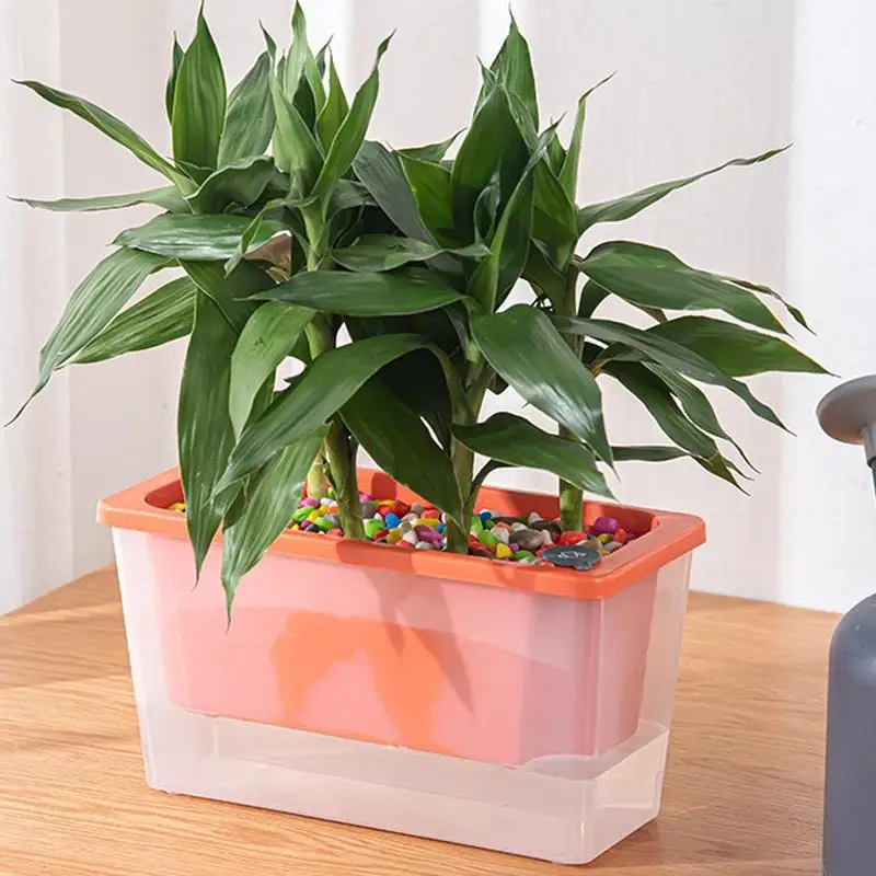 Plant Self Watering Planter Box Hydroponic Flowerpot for Windowsills with Drainage System for Easy Care