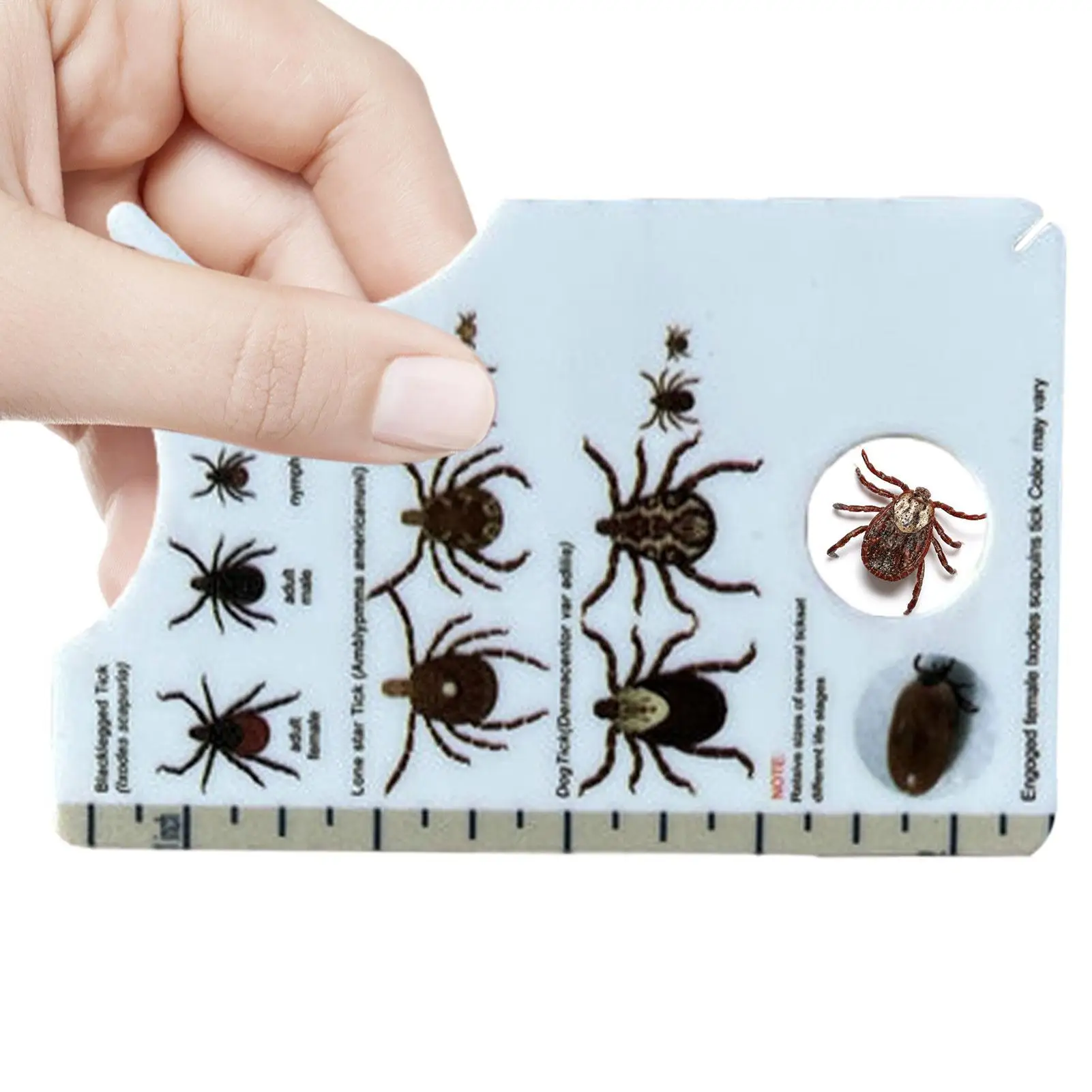 Tick Card For Dogs Pets Lice Catcher Tool Small Tick Card With Magnifier Tick Remover Card Plastic Portable Tick Remover
