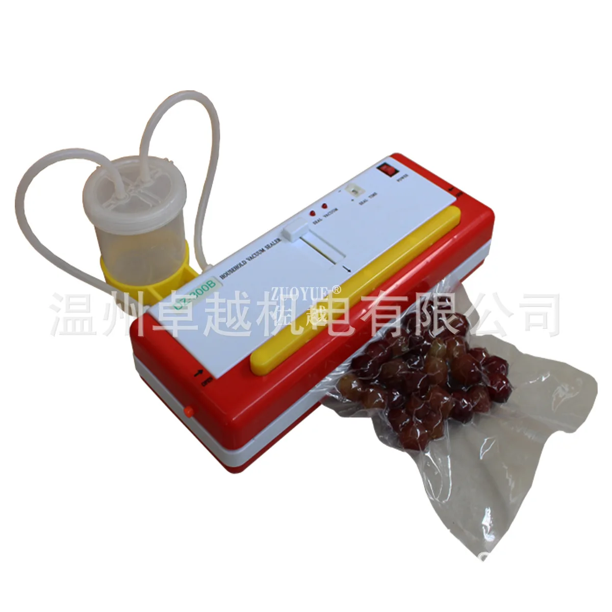 DZ300B Small Filter Liquid Dry and Wet Vacuum Packaging Machine