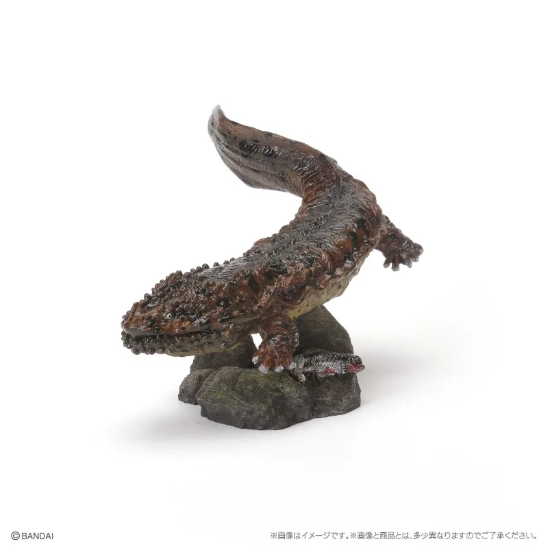 Bandai Original Gashapon Biological Atlas Batrachians Tree Frog Giant Salamander Action Figure Toys for Boys Girls Kids Gift