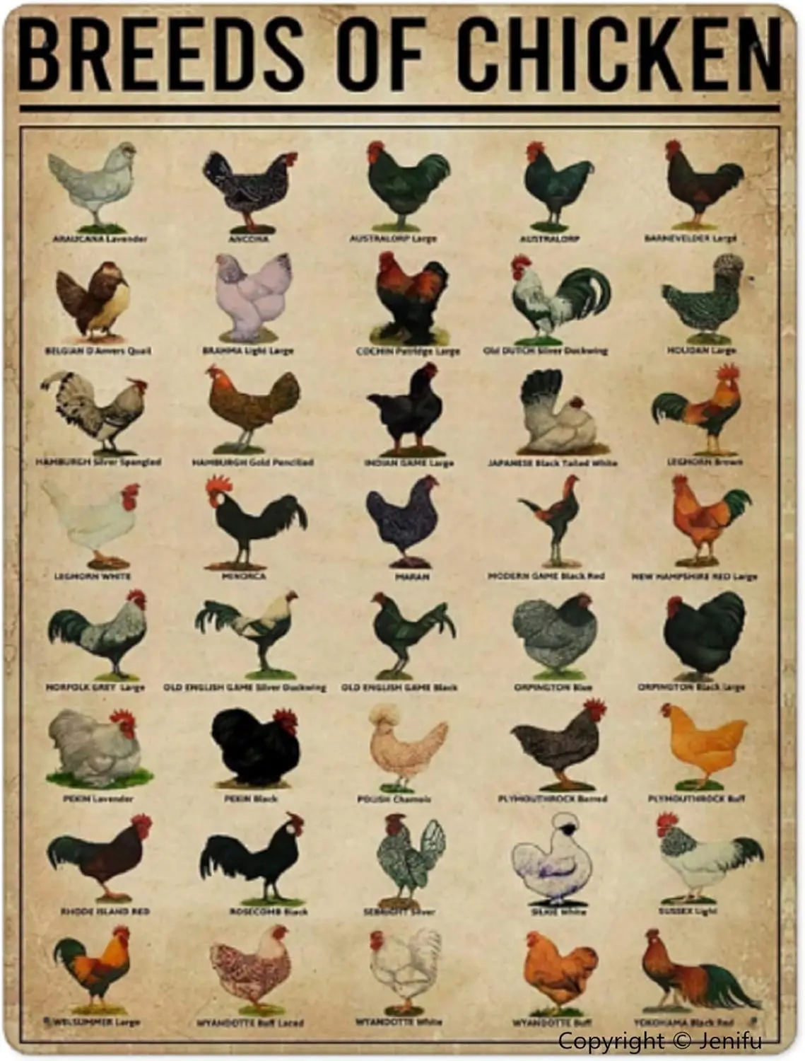 Breeds of Chickens funny Metal Tin Signs Poster Wall Art Home Decor Vintage Iron Painting Retro Novelty Farm Ranch Restaurant Sh