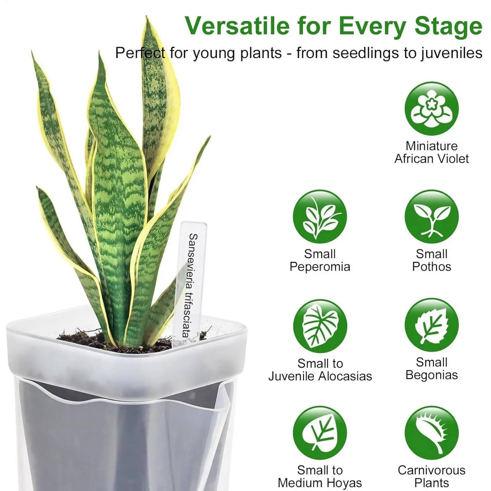 Self Watering Planter 12 Pieces Clear Hydroponic Cups With Drainage Holes Nursery Pots With Water Level Indicator For Living