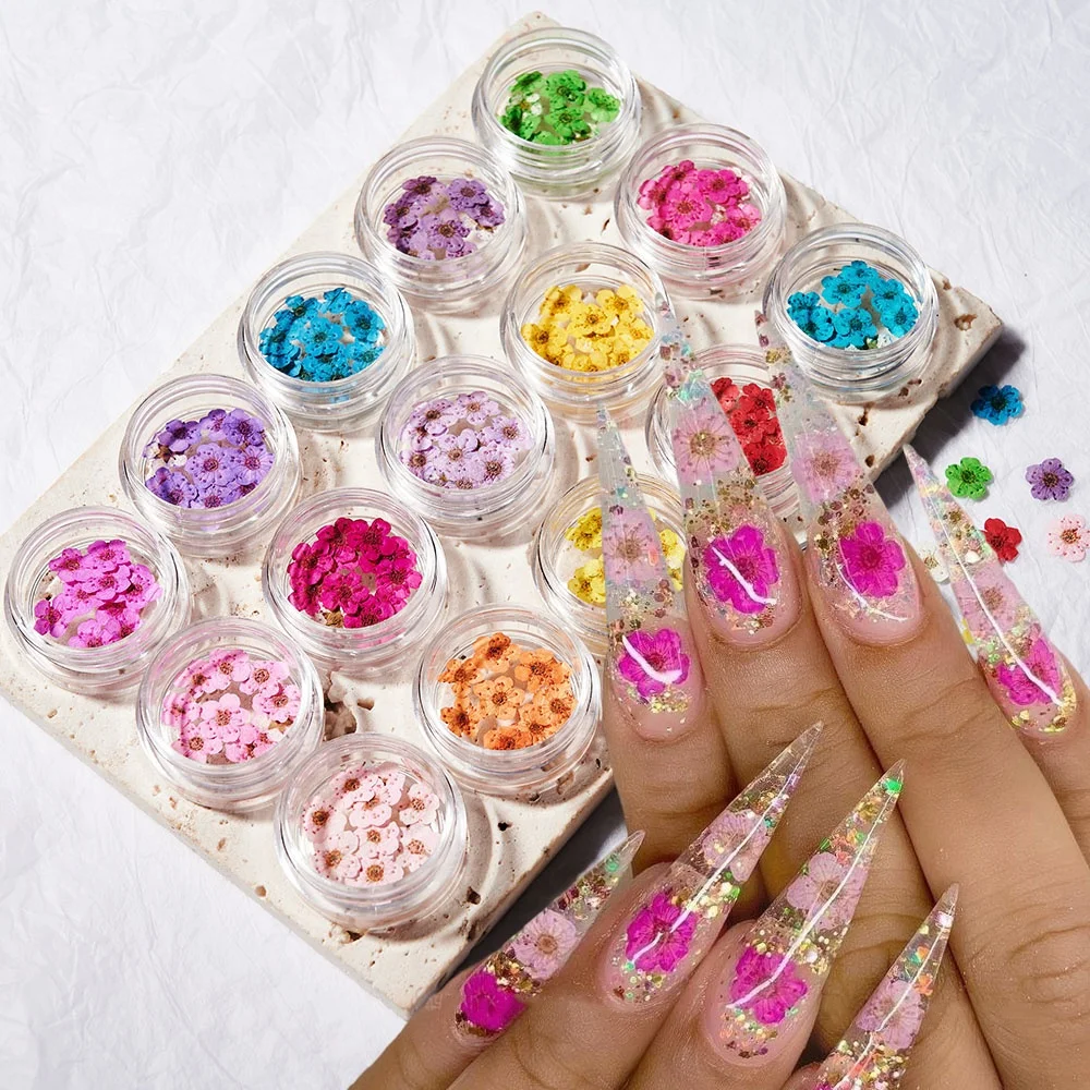 1 صندوق ثلاثية الأبعاد زهرة جافة مسمار الفن زينة الزهور المجففة الحقيقية ملصقات الأظافر الطبيعية الأزهار السحر تصاميم DIY بها بنفسك مانيكير اكسسوارات