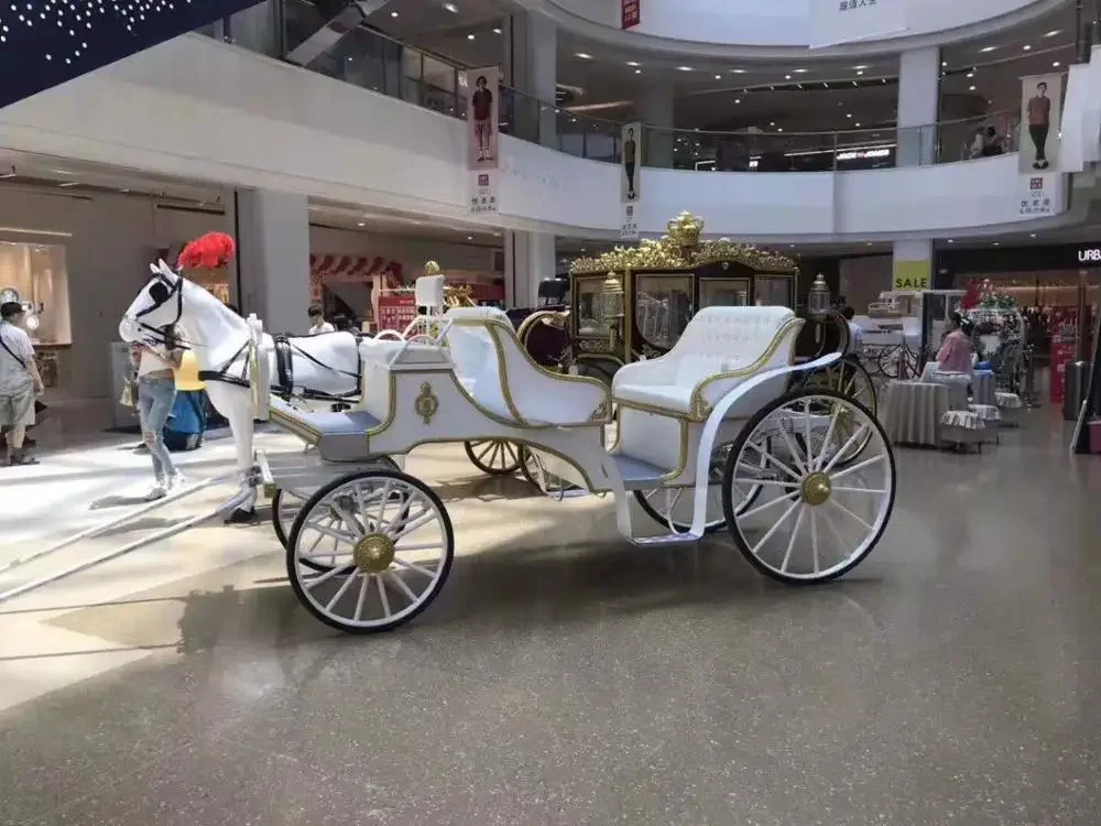 Pony Cart for Wedding, Electric Horse Diving SFP, Proximité, WNeshire Age, Hot SalesPony