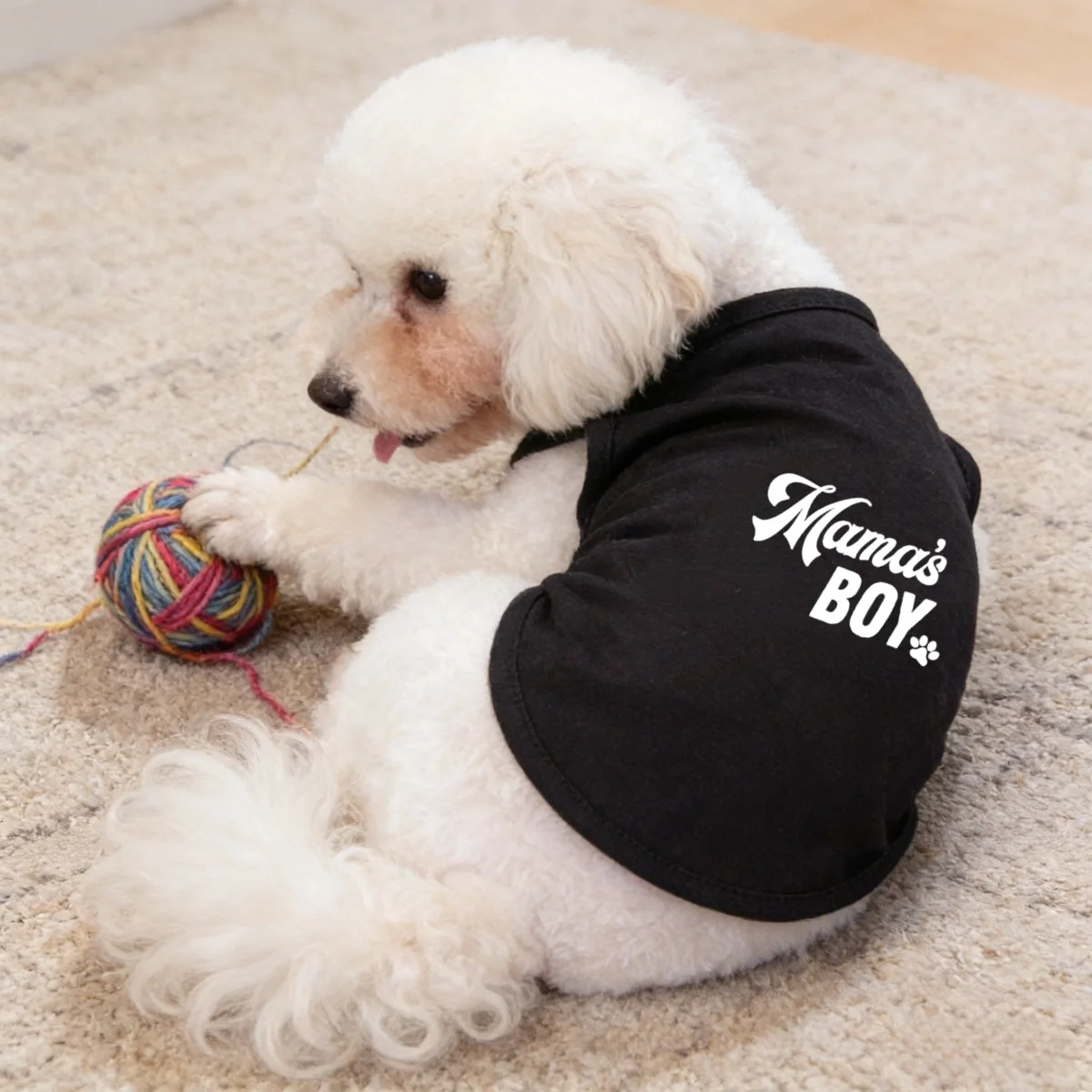1pc  Mama's BOY printed Classic pet T-shirt，Spring and summe