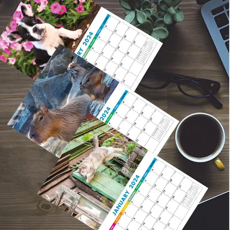 Dog Cat capybara Wall Calendar 2024 Funny Animal Memo Wall Calendar Cute Funny Animal Calendar Gift Animal Style Wall Calendar