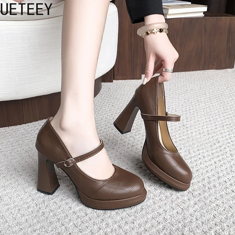 Spring Vintage High Heel Women Mary Jane Shoes Fashion Ankle Strap Ladies Elegant Dancing Party Prom Shoes