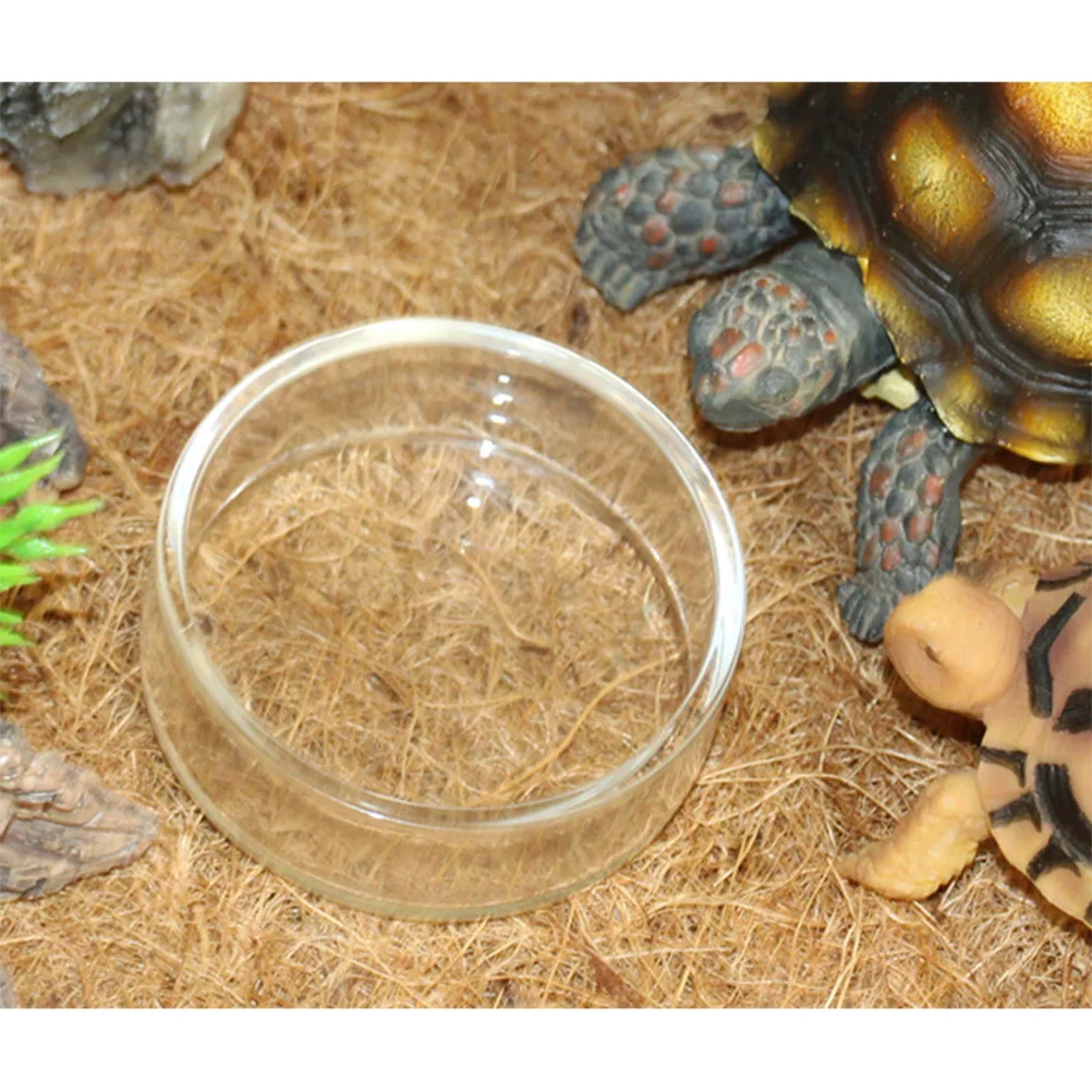 

4Pcs Reptile Feeder Glass Bowl Multi-Functional Durable Food Water Cup for Lizard Turtle Cricket Pet Reptile Feeder