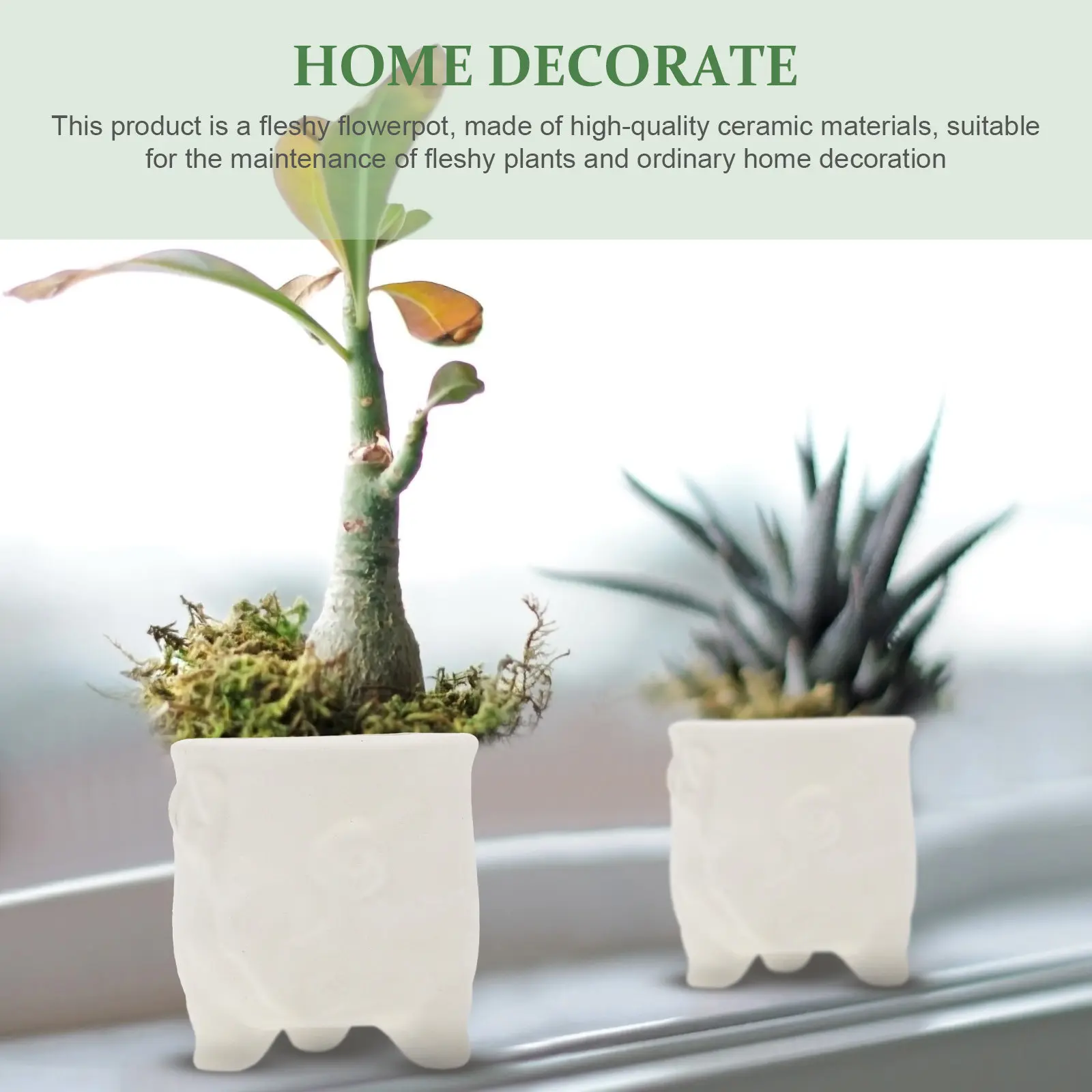 2Pcs Hand Paintable Ceramic Flowerpots White Unfinished Pots for Kids DIY Art Projects Home Office Balcony Living Room