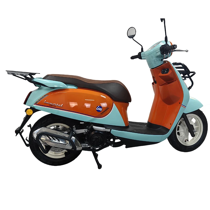 

STLF Qianjiang Sunshine One Meter 125 Rear Rack Comfortable Backrest Modified Pedal Motorcycle Body Systems