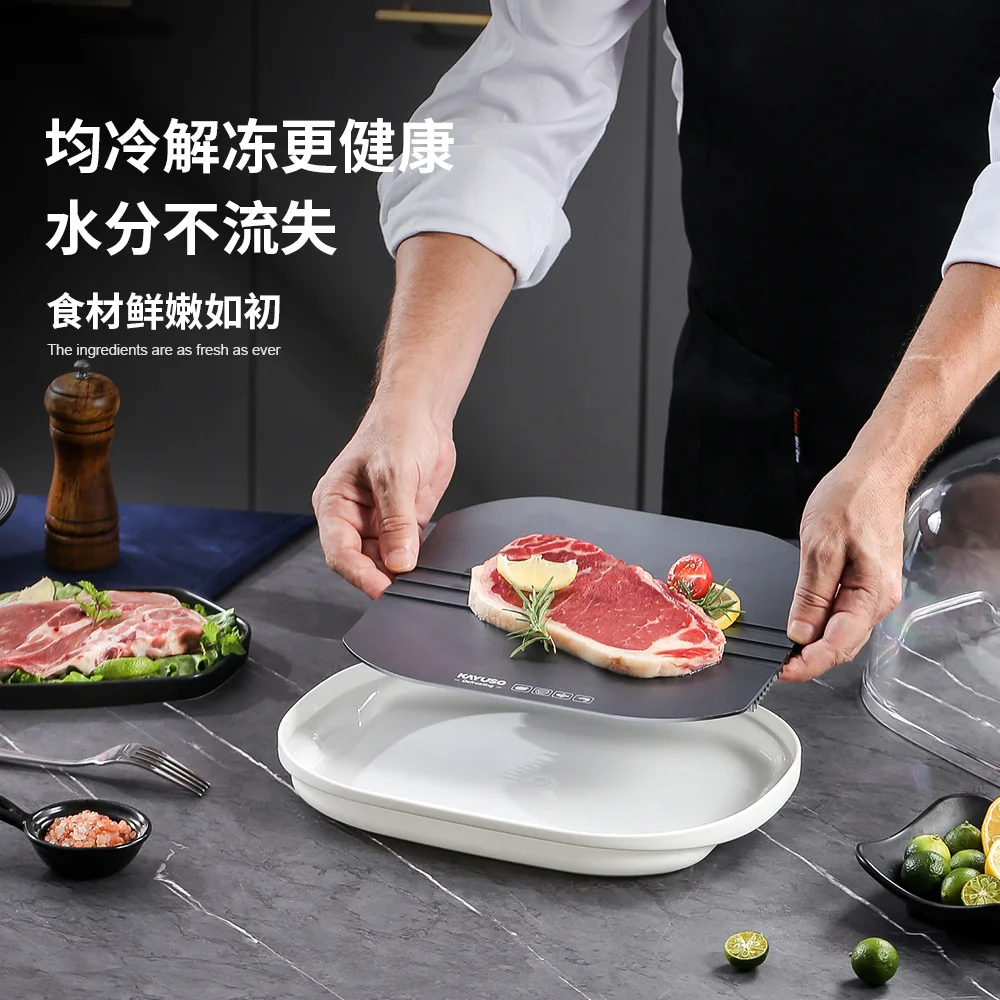 Household Food Quick Defrost Plate Portable Steak Thawing Gadget Kitchen Meat Defrost Accessory