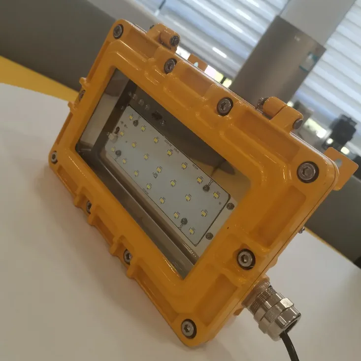 Explosion-proof Emergency Light CFD10 8W For Lighting Function And Emergency For Explosive Gas Mixture Places