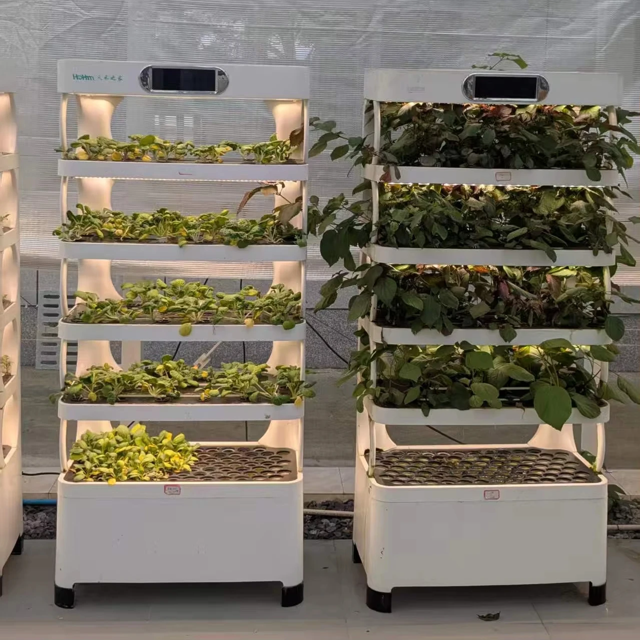 

Новая умная вертикальная гидропонная система для домашнего сада и фермы