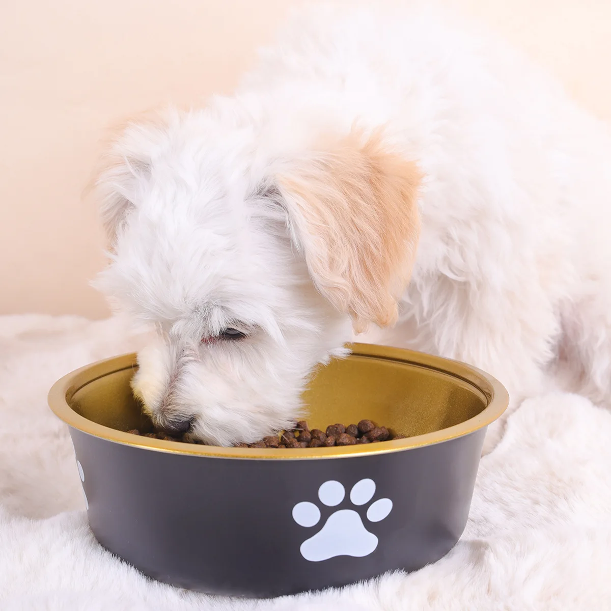 New Stainless Steel Dog Bowl Dog Anti Knock Large Capacity Bowl Golden Pet Feeding Plate Dog Accessories Pet Feeding Bowl