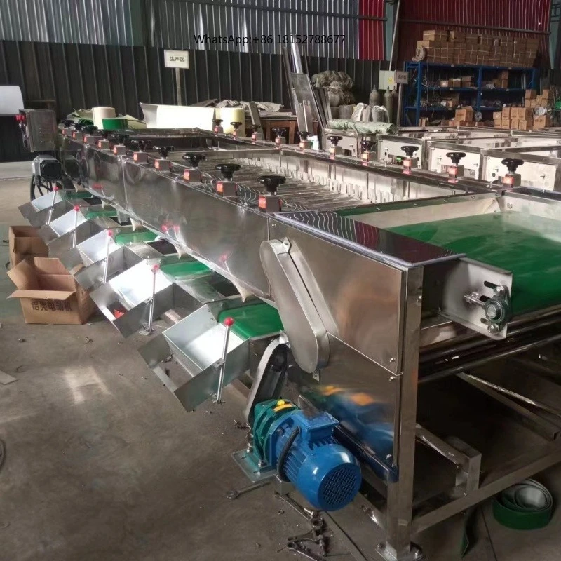 3T Round Potatoes Onions Tomato Orange Blueberry Size Sorting Roller Grader Fruit and Vegetable Classifier Machine