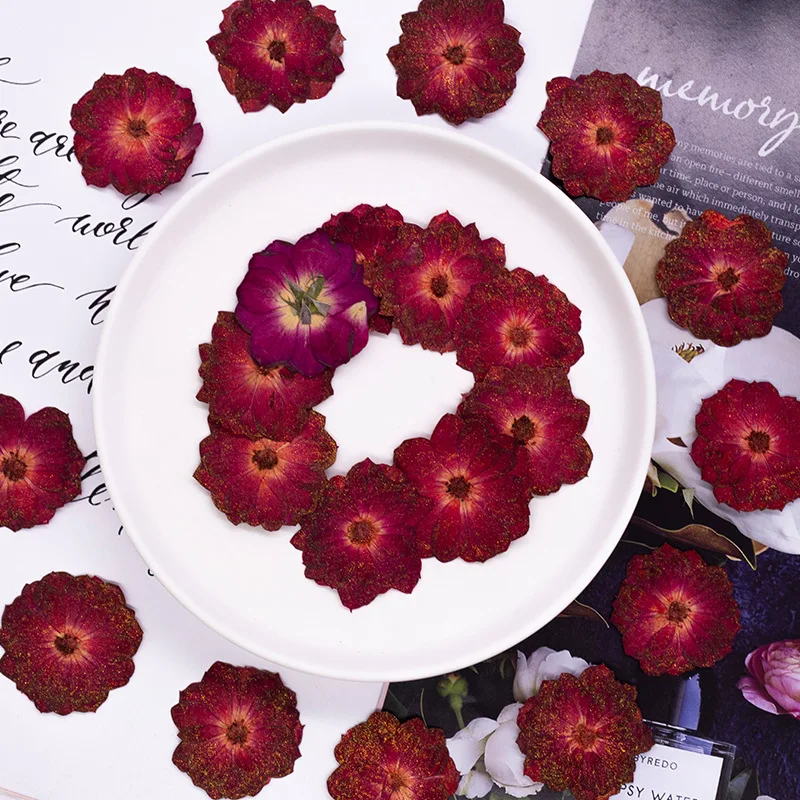 Juego de 12 Rosas Rojas con Polvo Dorado, Flores Secas Prensadas para Manualidades con Resina, Marcadores Decorativos con Flores de Rosa Naturales