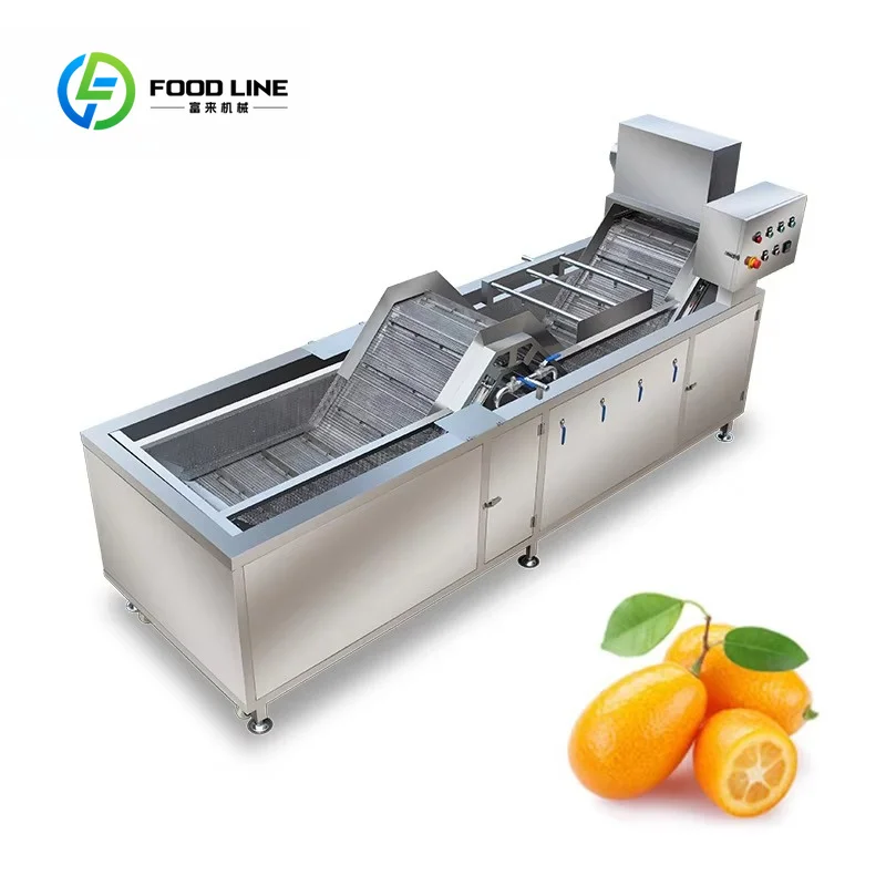 Green Bean Washing Blanching Line FL Custom Wholesale Commercial Fruit Vegetable Processing Blanching Equipment