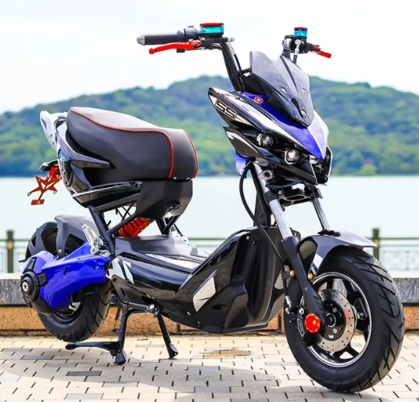 

2025 New Style New Cheap 2-Wheel Electric Bicycle For Adults Smart Digital Off-Road 60V Voltage 3 Speed Brushless Steel Outdoor