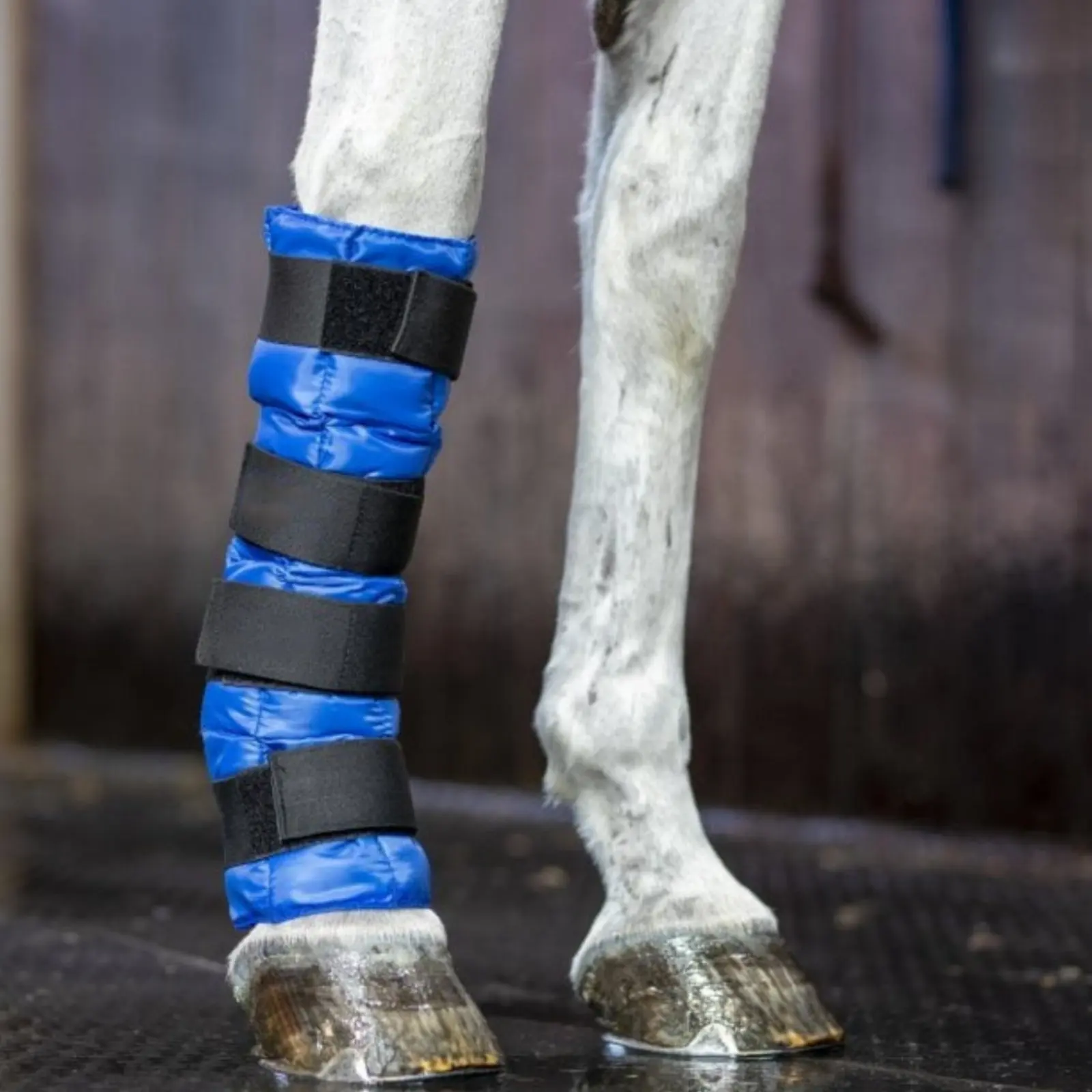 

Horse Ice Boot Rectangular Horse Cold Recovery Boot Quilted Leg Wrap Easy to Apply Hook-and-Loop Leg Wrap Fast-Grip Straps