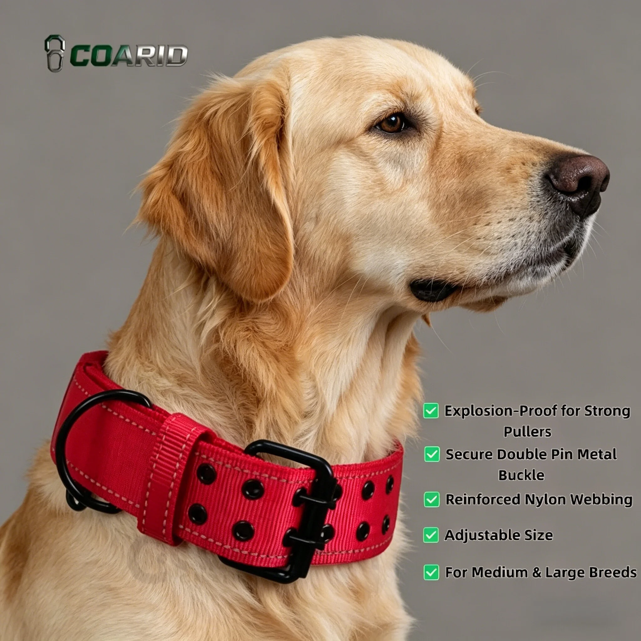 

Adjustable Metal Double Ring Pet Collar, Nylon Dog Collar for Small Medium Dogs, Red Pet Training Collar for Outdoor Walking