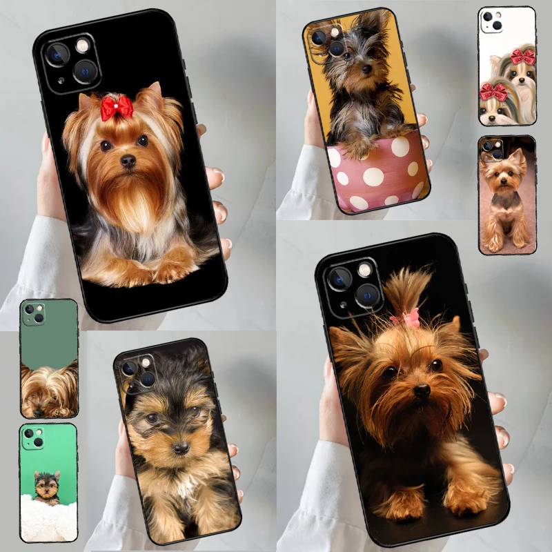 Yorkie Yorkshire Te… - image