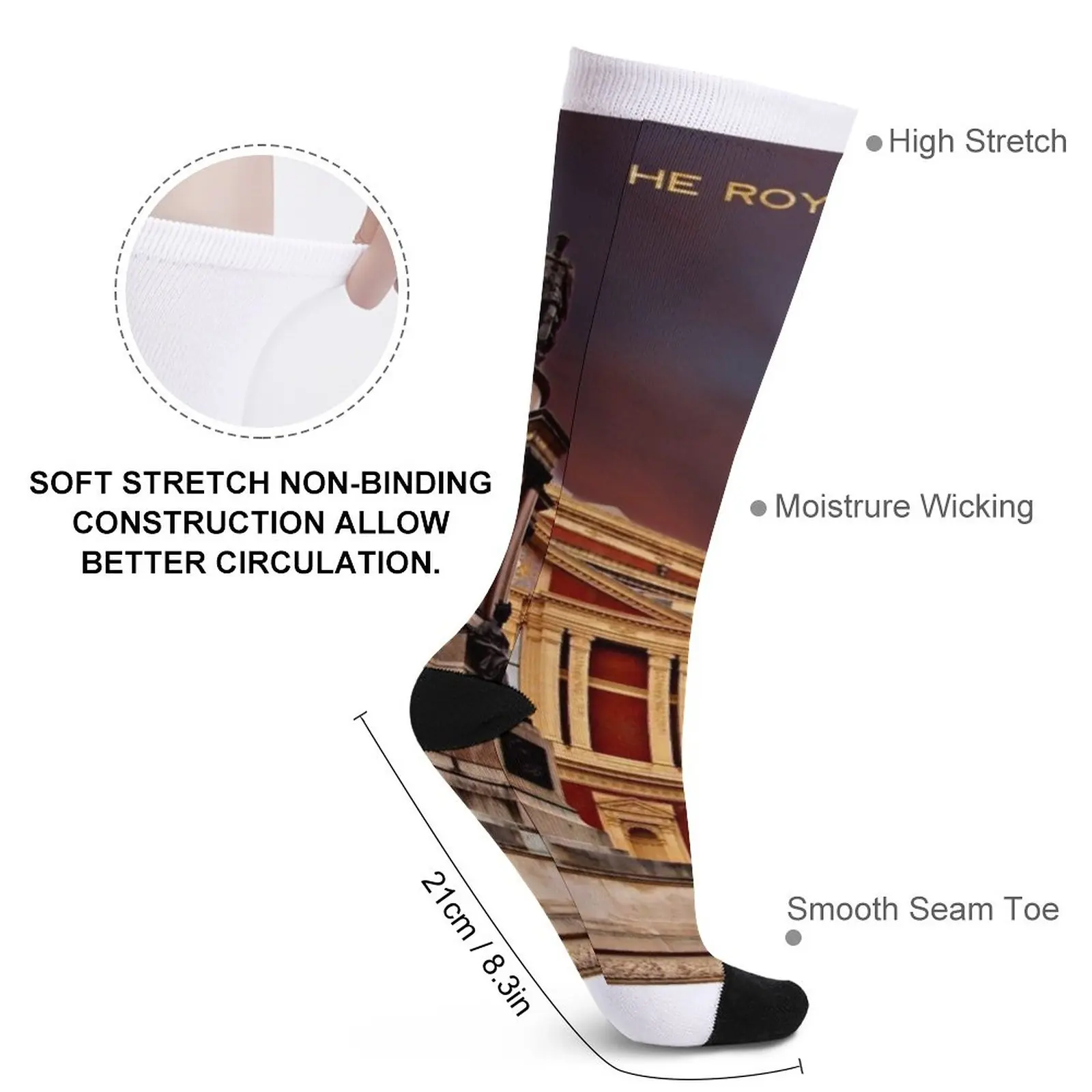 The Royal Albert Hall, London Socks Men's socks with print compression socks men Women's short socks