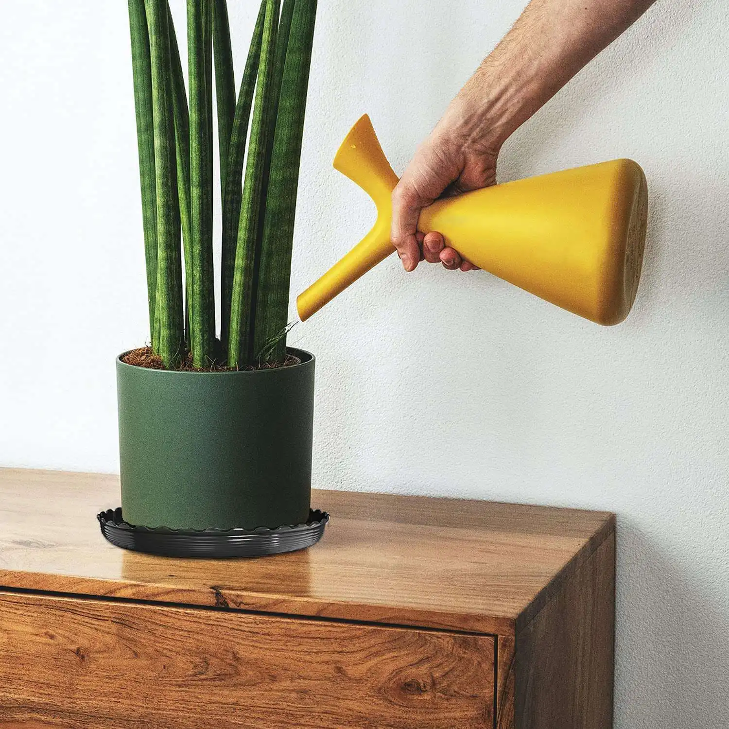 

【Top Picks】Plant Saucer,6 Pack Plastic Plant Trays,Plant Water Catcher Tray,Flower Pot Saucer For Indoor And Outdoor,Black