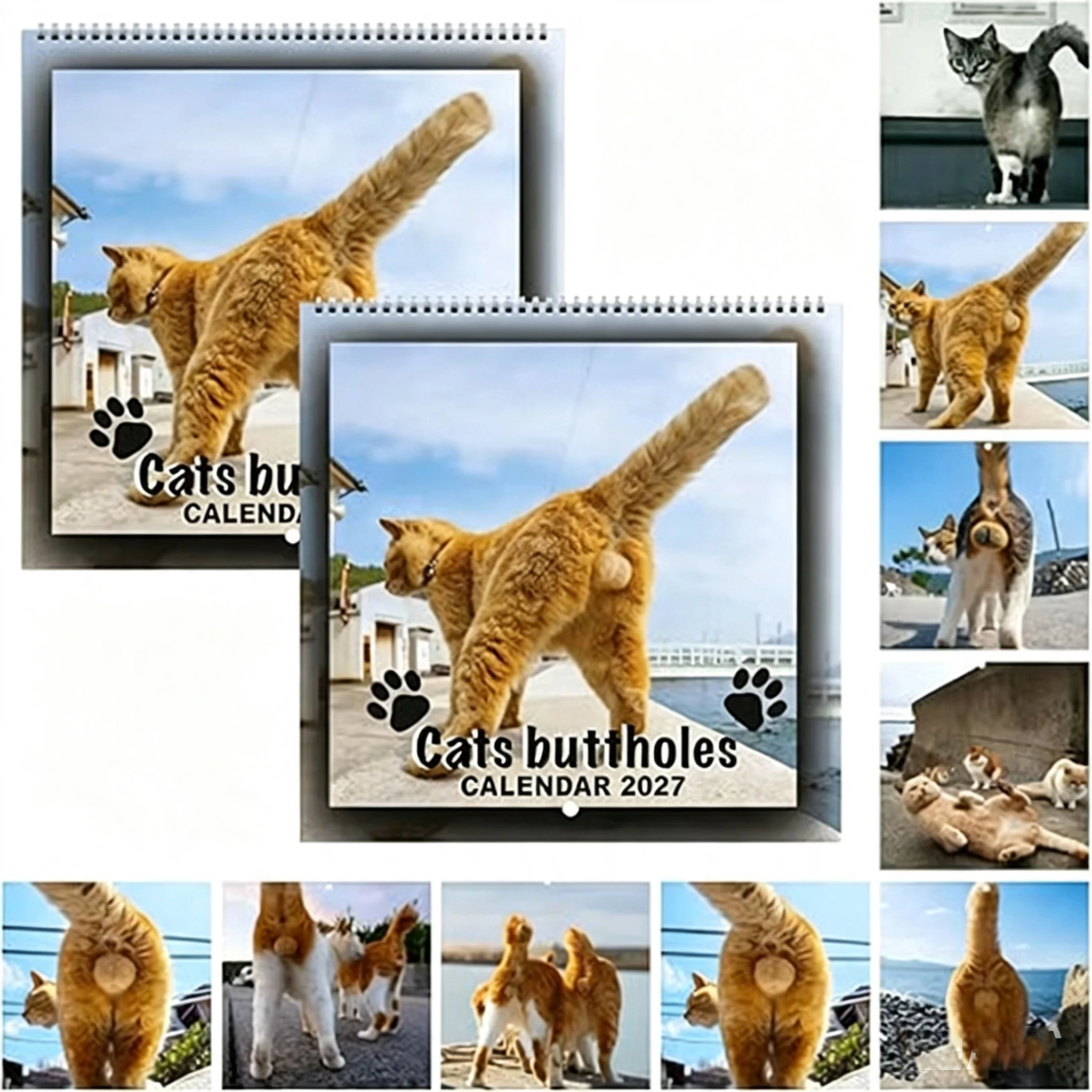 2027 Funny Cat Rear Wall Calendar Hilarious Cat Photos 12 Months  Calendar Monthly Planner Gift For Cat Lovers Home Decor