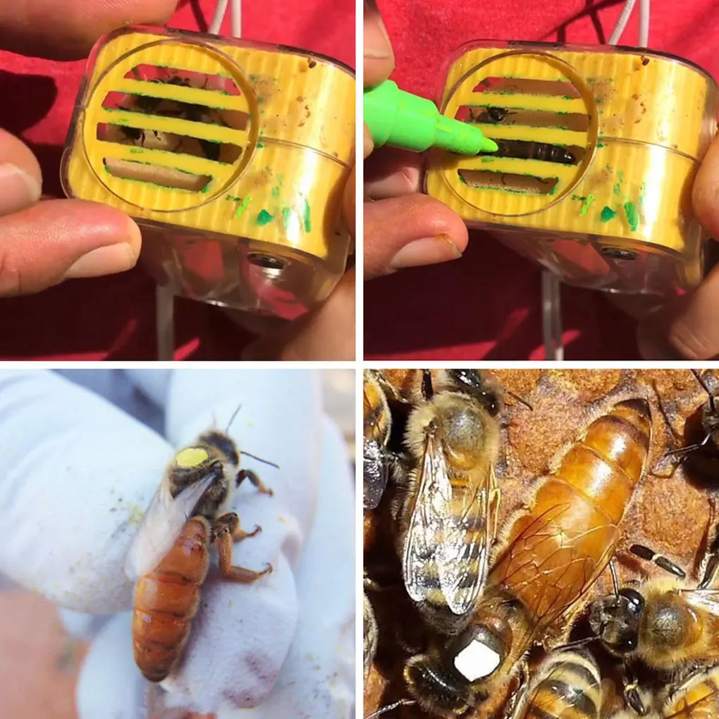 Plastic Handed Queen Bee Marking Bottle Multi-Color Rearing Queen Bee Cage Marking Bottle Garden Beekeeping Equipment