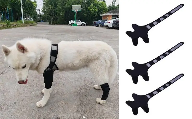 Dog Leg Strap Dog Hip Joint Care Support Brace For Leg Injury Recover Hock Joint Wrap and Dog Legs Protector Support Health