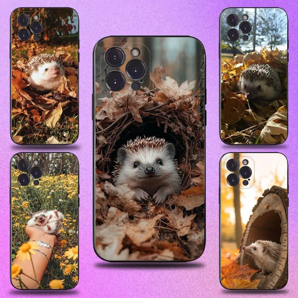

Maple Leaf Hedgehog Phone Case For iPhone 17,16,15,14,13,12,11 Plus,Pro Max,XS,X,XR,SE,Mini,8,7,Soft Silicone Black Cover