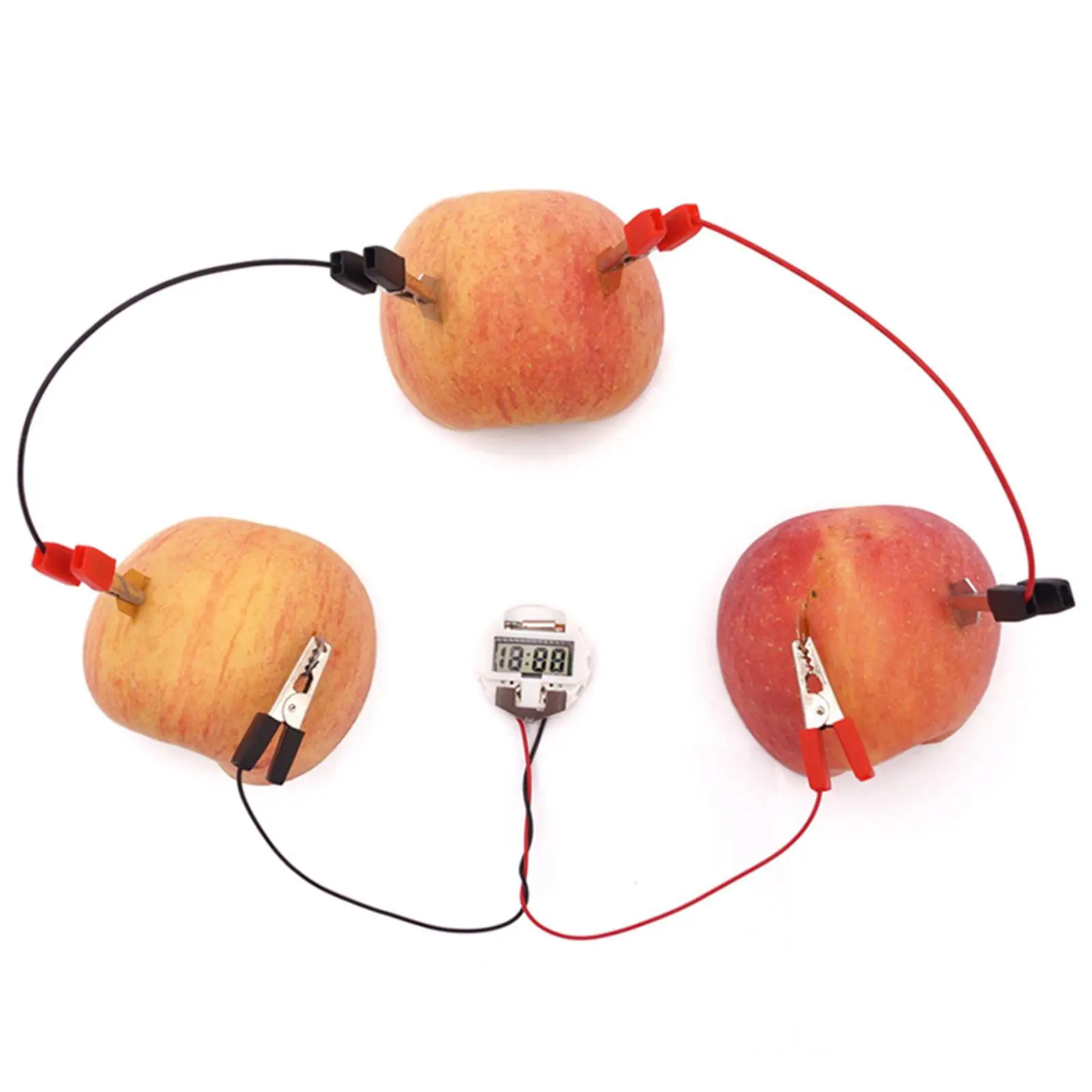 

Fruit Battery Science Experiment Kit School Science Project Physic Electricity Kit Science Energy Lab Kit for Potato Girls Boys