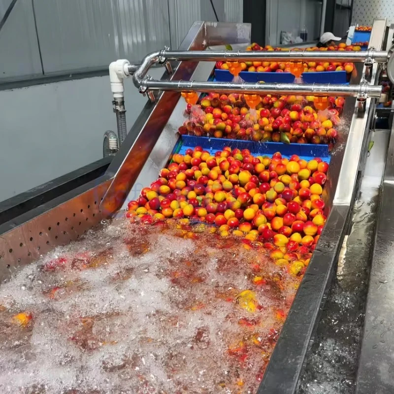 Automatic Stainless Steel Vegetable and Fruit Washing Machine Commercial Fruit and Vegetable Machine