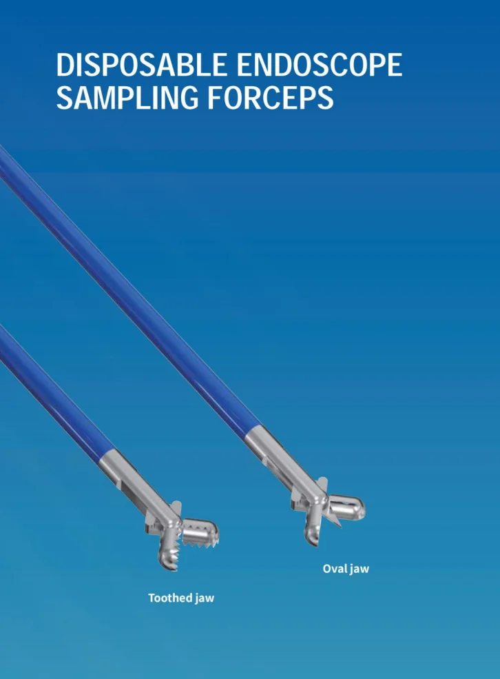 FORCEPS SAMPLING ENDOSKOP YANG DAPAT DIPAKAI SEKALI, Aksesori Diagnosis Endoskopi Pencernaan