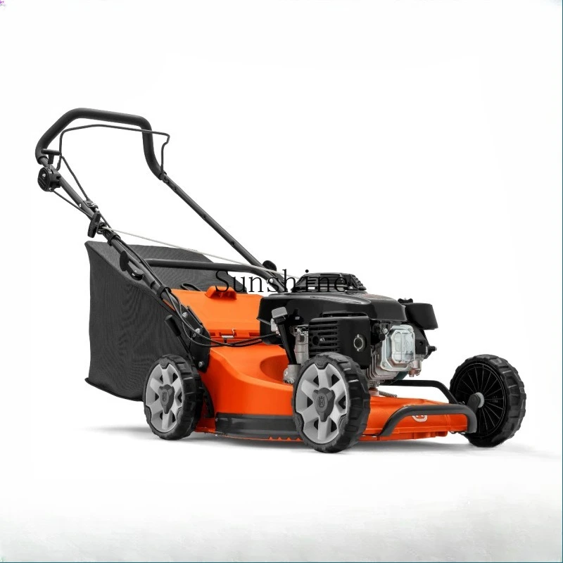 

LC219/LC419 Ручная косилка Газонокосилка для гольфа