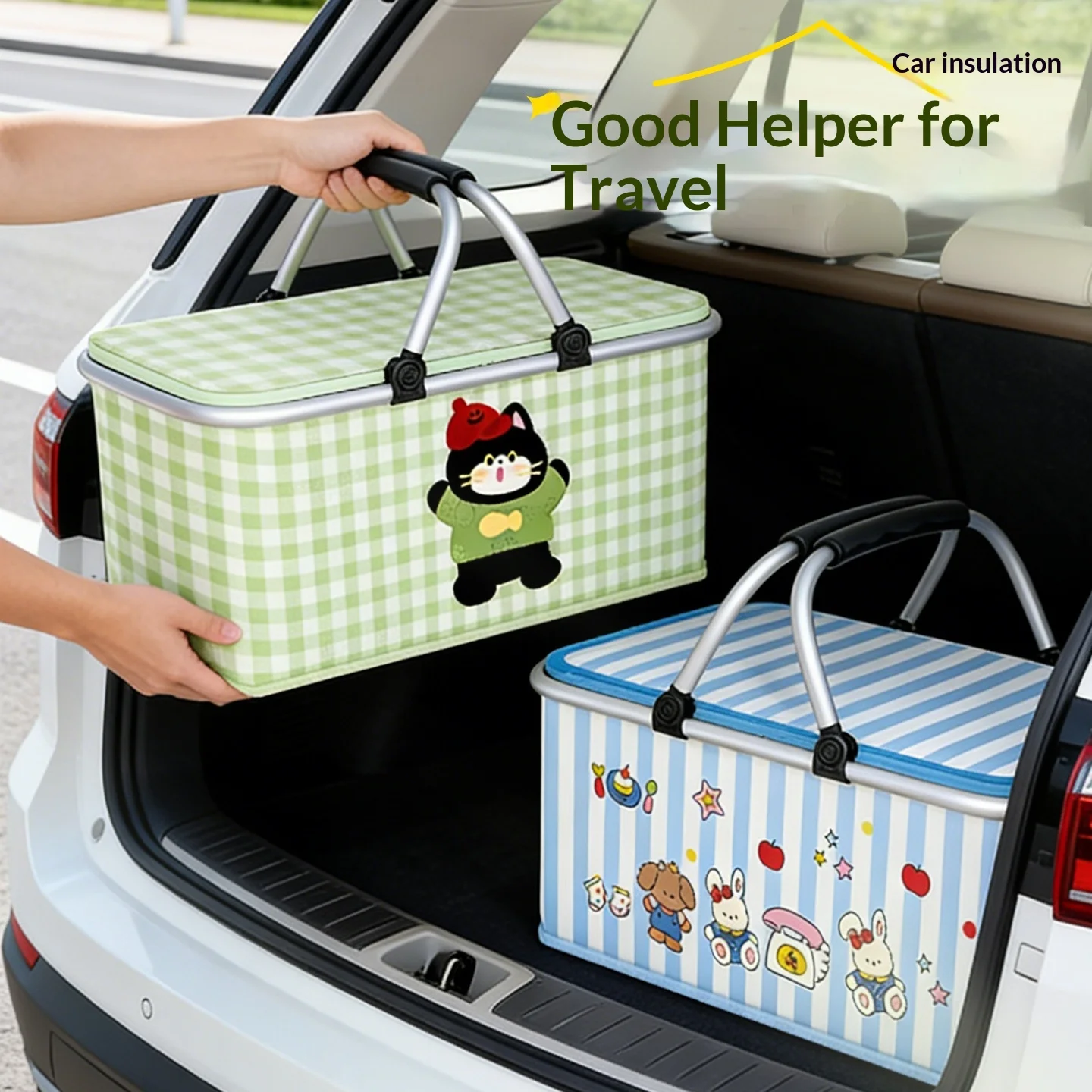 Insulated Picnic Cooler Tote 4
