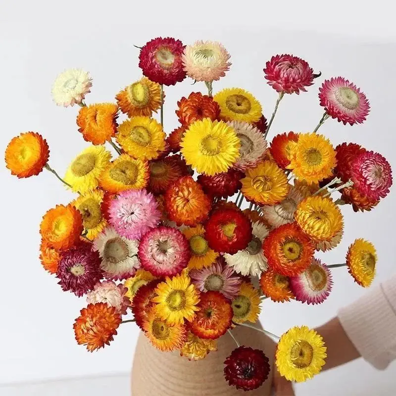 

real dried flowers Chrysanthemum Bouquet Daisy Sunflower Dried Plant Flower Home Decoration Mother's Day Gift Living Room