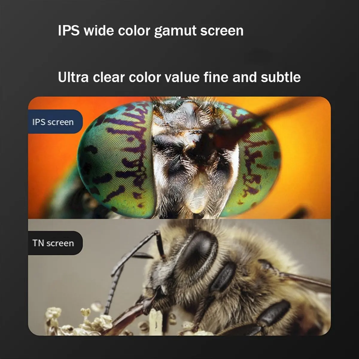 microscopio-digitale-lcd-da-2026-43-pollici-microscopio-a-moneta-1000x-con-8-luci-led-regolabili-visualizzazione-pc-con-supporto-regolabile