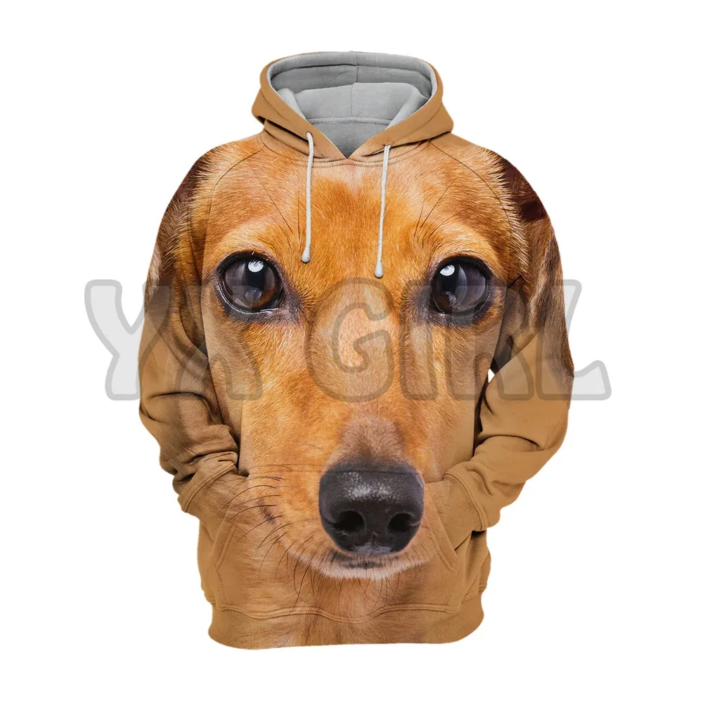 Animals Dogs Dachshund Sausage Dog 3D Printed Hoodies  Unisex Pullovers Funny Dog Hoodie Casual Street Tracksuit