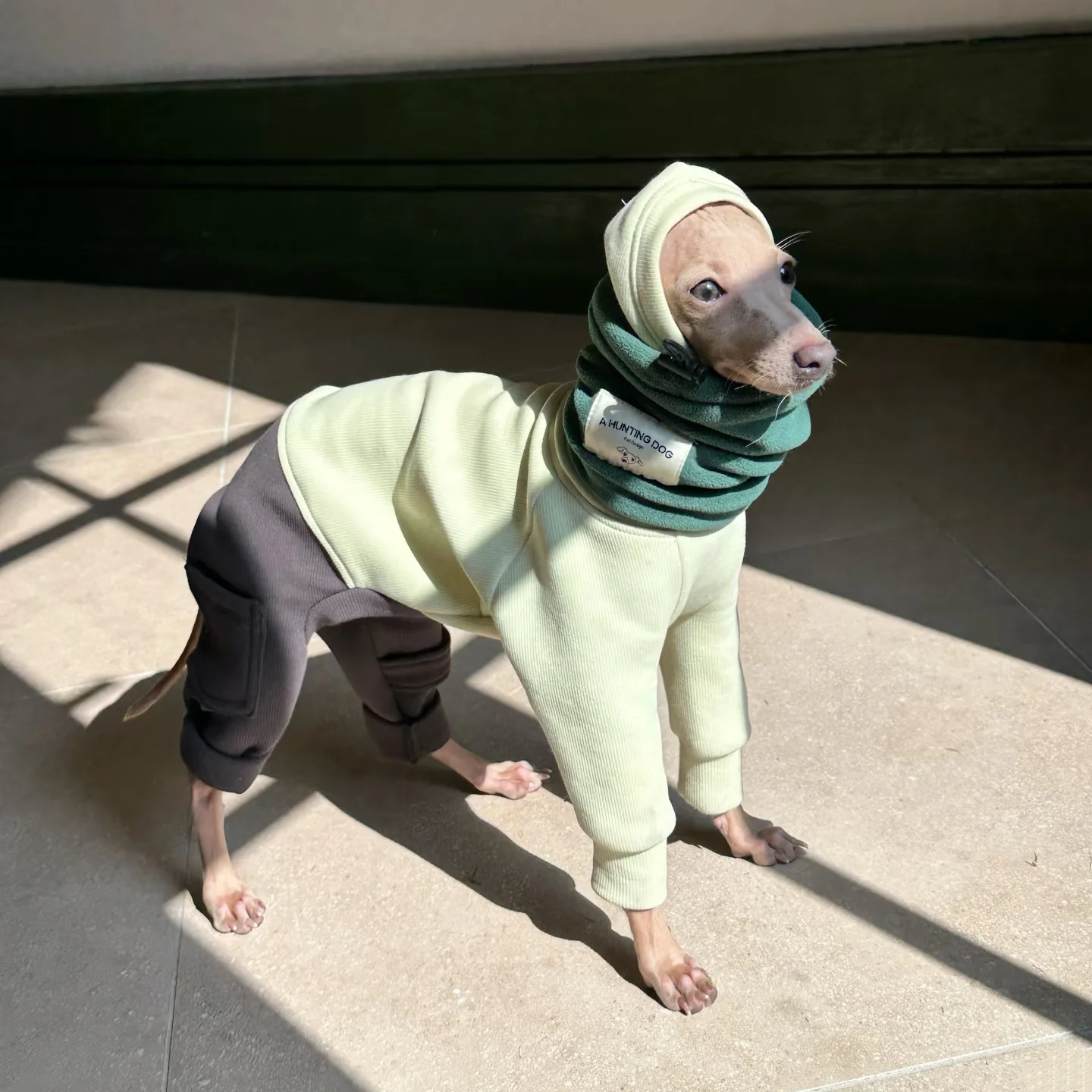 

Зимние теплые пижамы для итальянских борзых, мягкая воздушная хлопковая толстовка с капюшоном для Whippet, зеленое, серое пальто с цветными блоками для собак