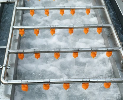 Automatic High Pressure Bubble Cleaning Machine Line for Fruit Juice Vegetables Chocolate Candies Seafood Vegetables Washing