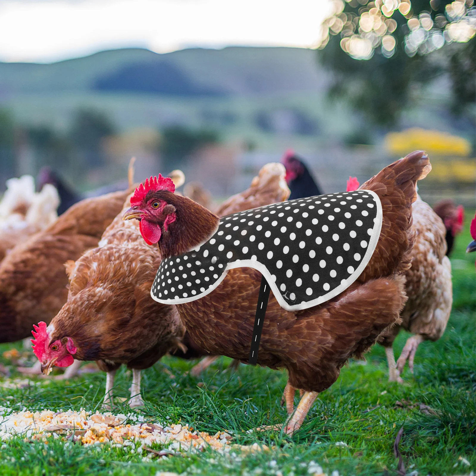 

1Pcs Hen Saddle Apron with Adjustable Bands Chicken Back Guard for Rooster Mating Injury Prevention Adorable Poultry