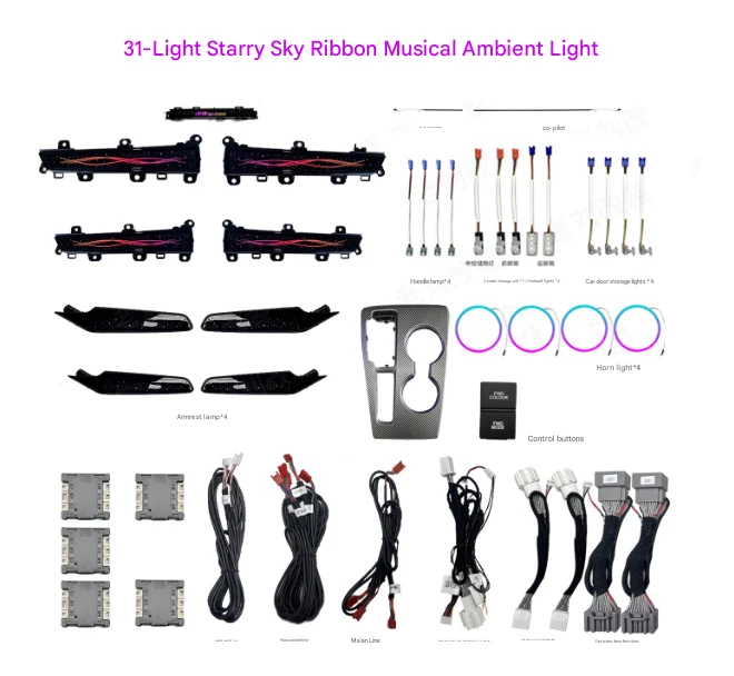 RGB interior decorative lights, Civic ambient lighting, LED ambient lighting, remote/app control